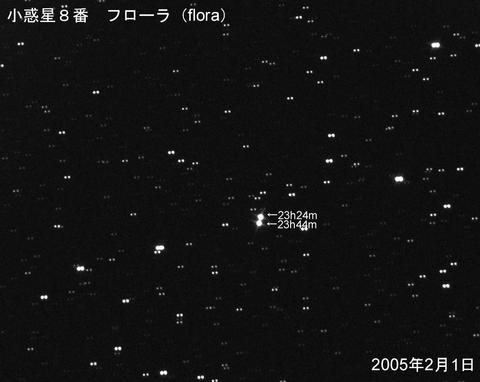 小惑星８番　フローラ