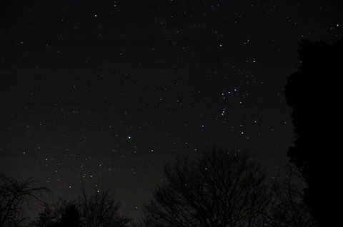 orion.jpg