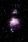 M42