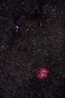 バラ星雲‥