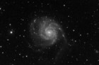 M101