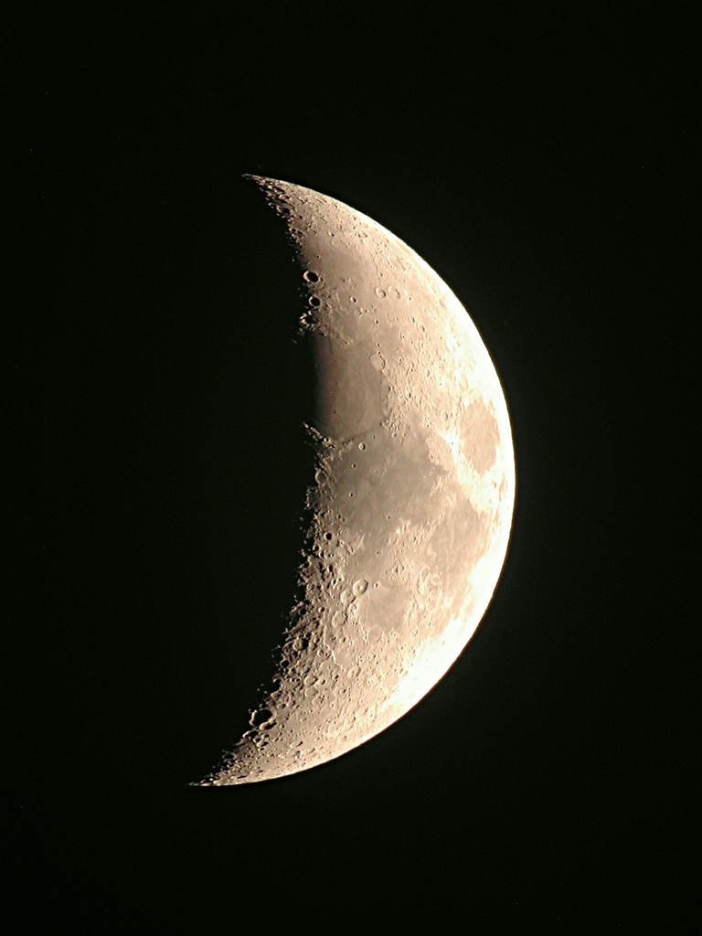 594.jpg