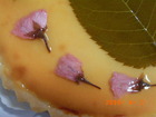 2010-04-02 桜チーズタルト２