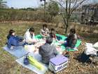2010-04-03 お花見02