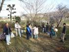 2010-04-03 お花見20