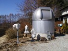 P3190044a.jpg