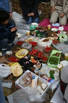小田星花見2007
