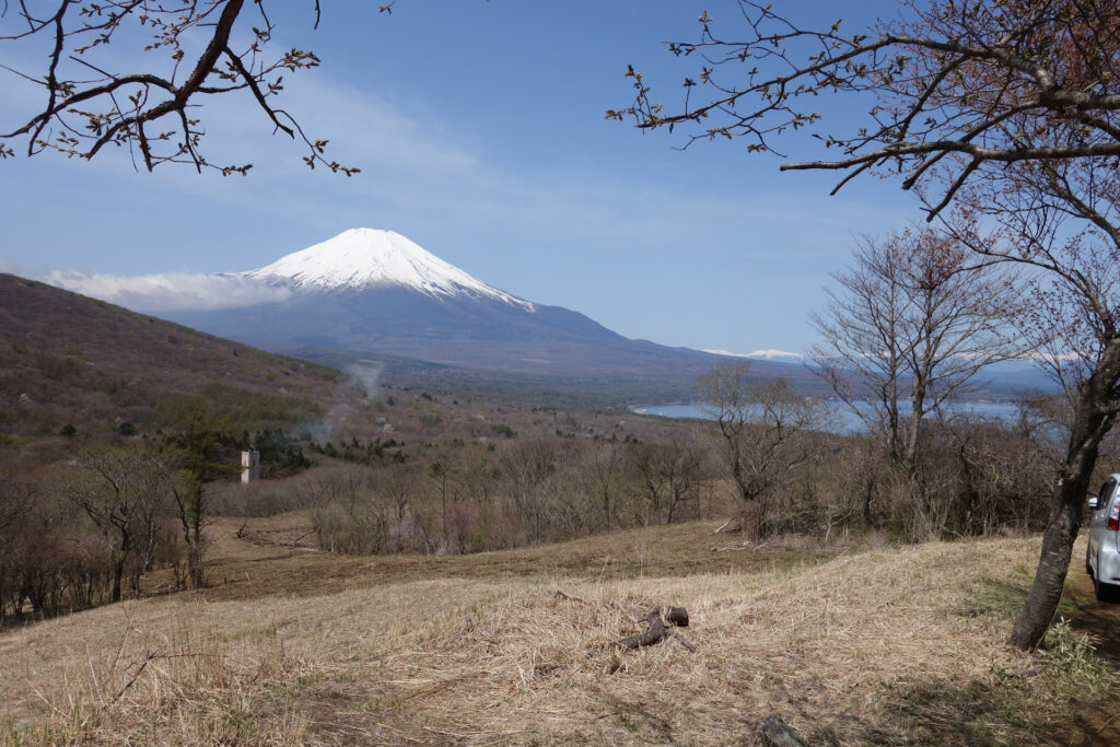 芝桜と富士