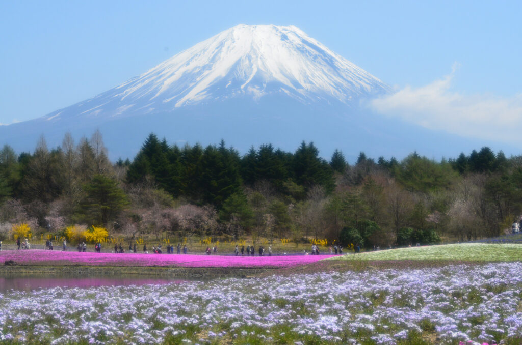 富士本栖湖リゾート