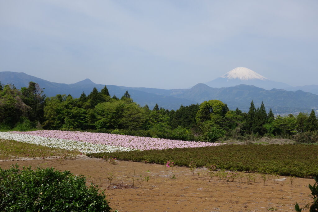 いこいの村付近