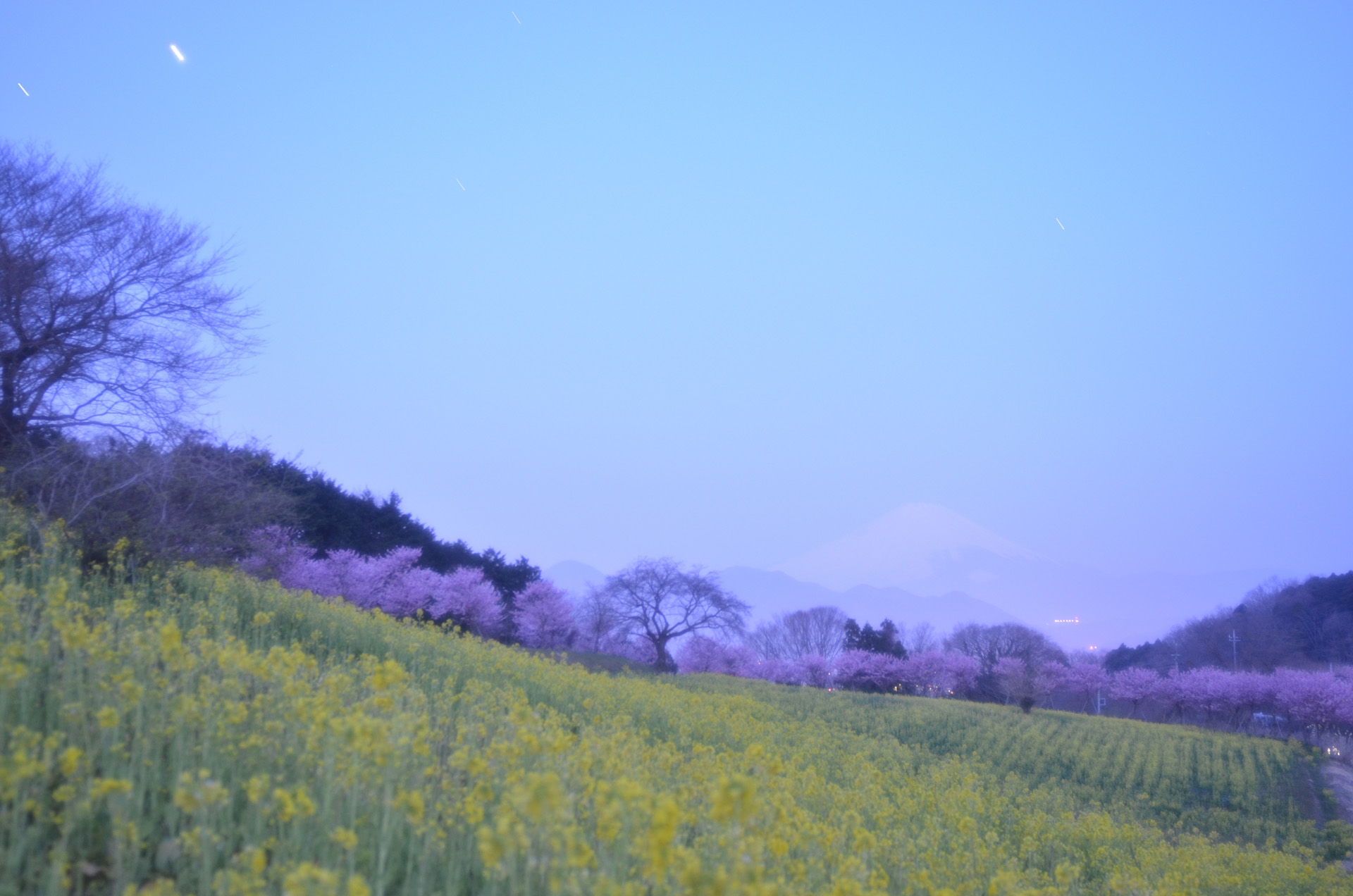 富士見塚（大井町）