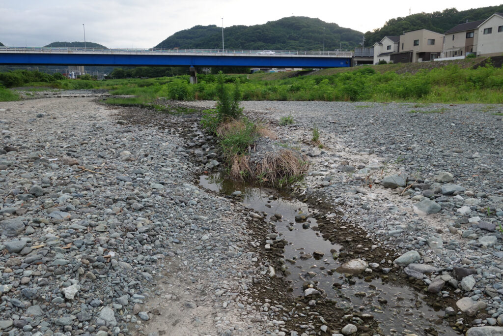 雨不足