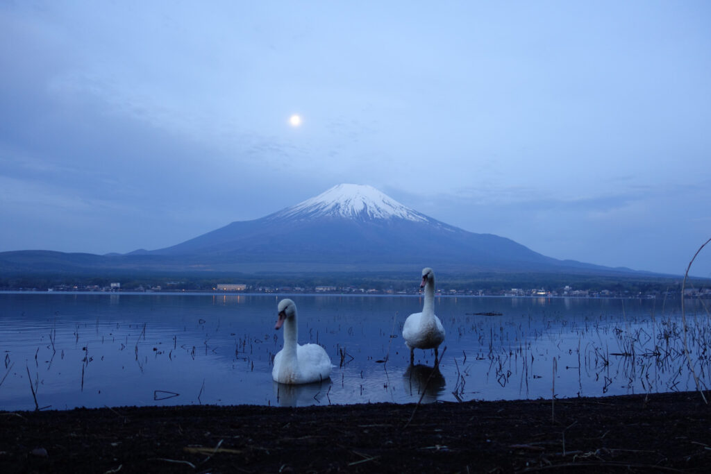 パール富士 in 山中湖 ふたたび
