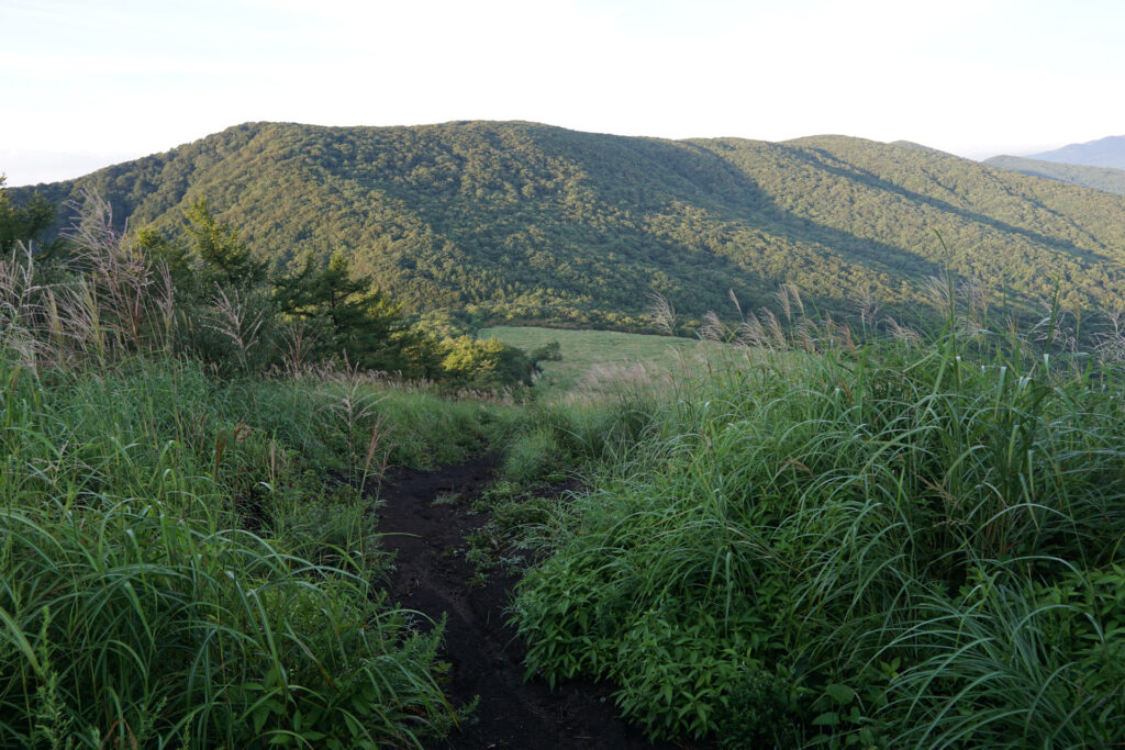 明神山（鉄砲木ノ頭）