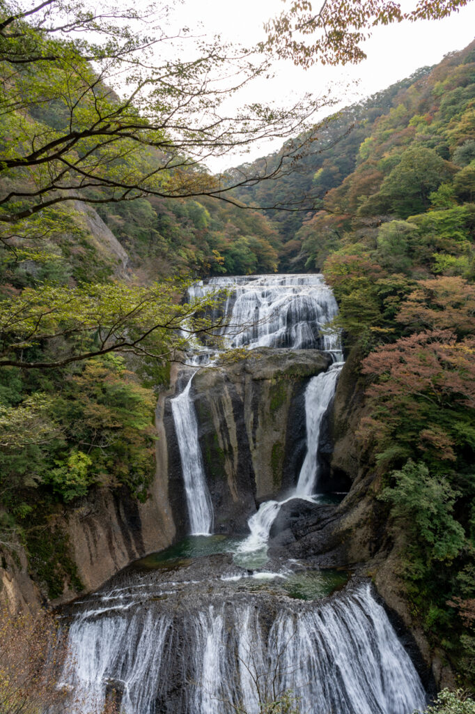 袋田の滝　19年11月
