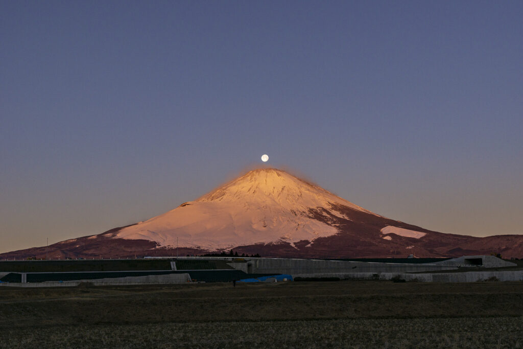 パール富士（210130）