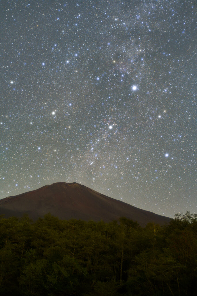ソフトフィルターの効果