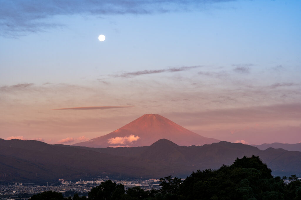 十六夜月（いざよいづき）パール