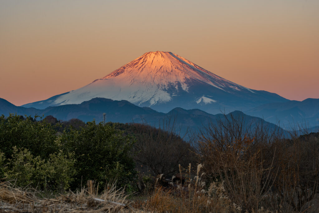 今年もよろしくお願いします