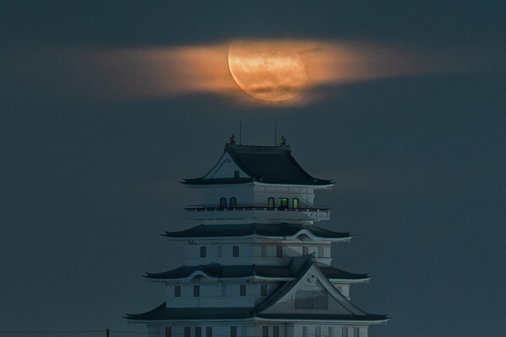 豊田城と月