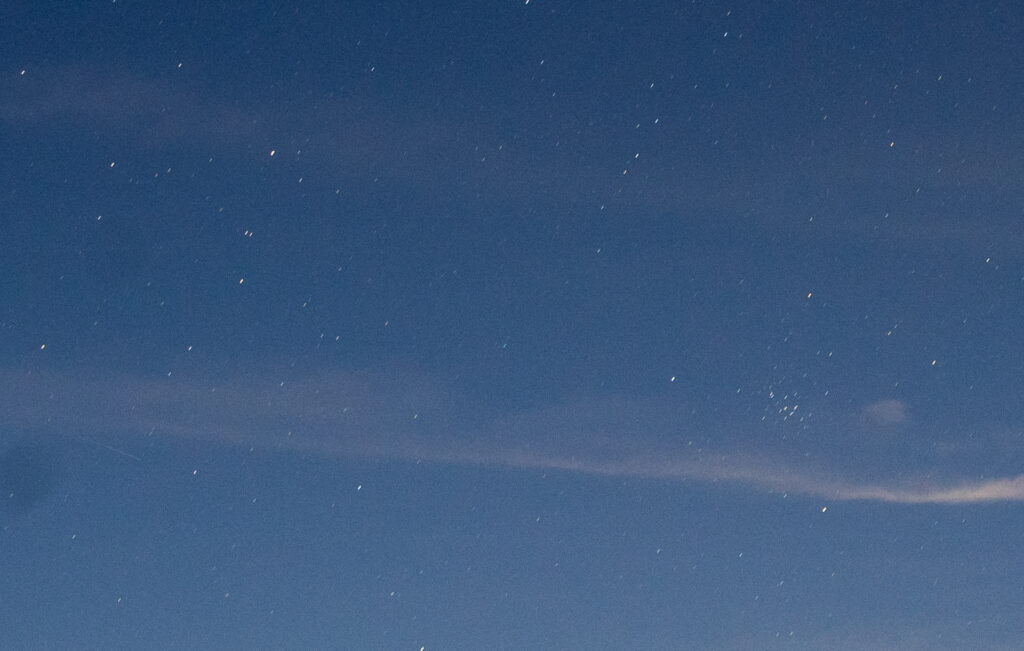 西村彗星（C/2023 P1）み～つけた