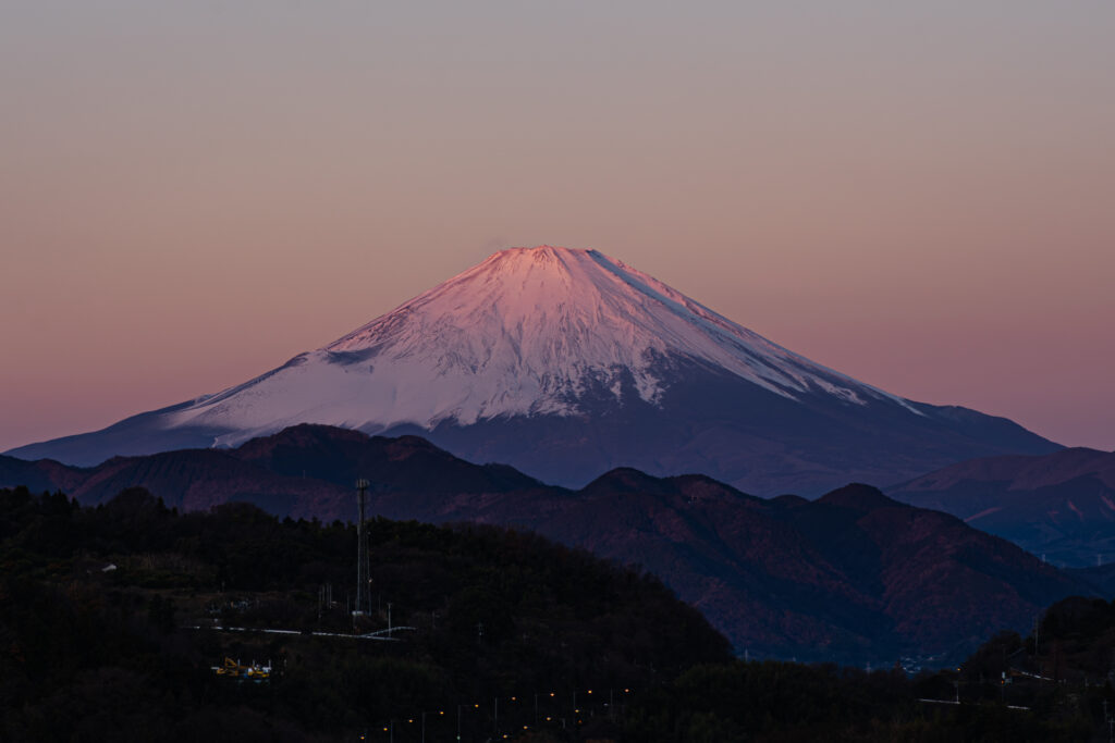 今年もよろしくお願いします