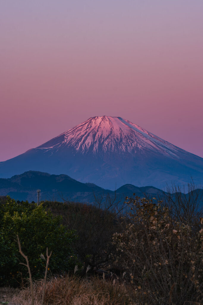 25年の初紅富士